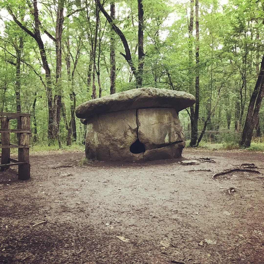 Лесной ландшафт и дольмен в районе Шапсугской